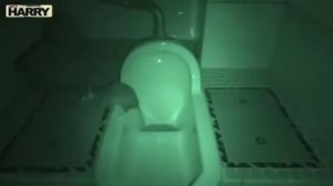 КТО БЫВАЕТ В ВАШЕМ ТУАЛЕТЕ ПО НОЧАМ