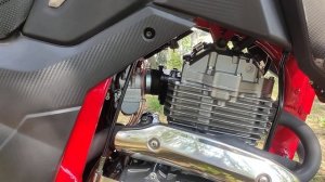 MINSK GOOSE 400. Пробег 800км