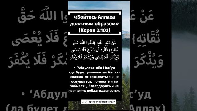 Бойтесь Аллаха должным образом и умирайте не иначе, как будучи мусульманами!