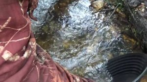 Поиск золотых самородков металлоискателем в ручье!