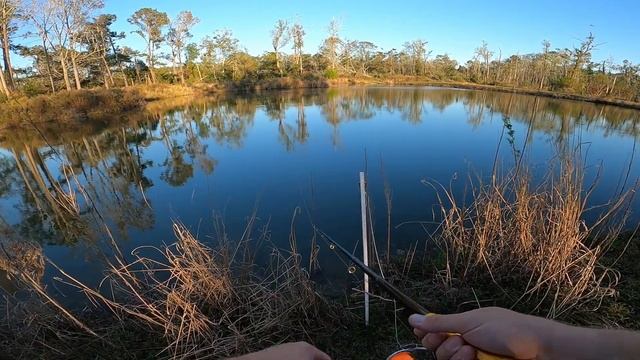 Wish App Fishing Challenge (Rod, Reel, Line, Lures) смотреть онлайн