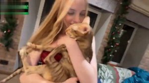 РУ твич стримерша спалила сосок прямо на стриме ( фулл в коммах)