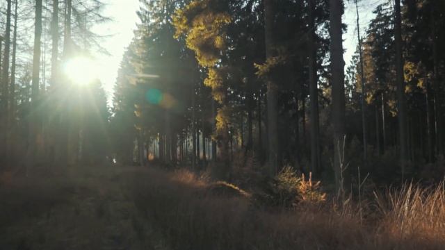 Мощная Безумно Красивая и Потрясающая Музыка Для Души! Лучшие Треки, Лекарство для Души смотреть онлайн