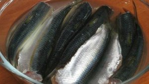 Домашняя маринованная сардина