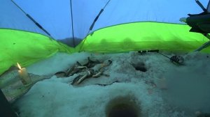 Пурнема. Навага. Ночую в палатке. 28.01.2024