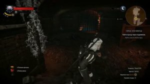 Прохождение Ведьмак 3, Братья По Оружию Новиград, Помочь Трисс с Ее Делами: Сейчас Или Никогда