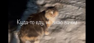 Куда-то еду, не знаю зачем