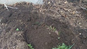 ТЕПЛЫЕ ГРЯДКИ ДЛЯ ОГУРЦОВ. Что добавить в лунку