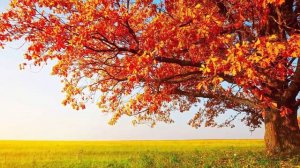 Невероятно вдохновляющая и Бесконечно КРАСИВАЯ МУЗЫКА для души... Лучшие композиции Сергея Грищука!