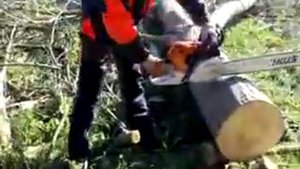 OLEO MAC GS 44 vs STIHL MS 441.mp4