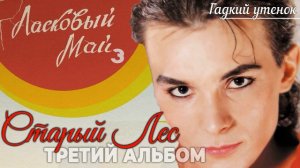 Андрей Разин - Гадкий утенок