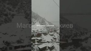 Тохота 14.03.2022 год.