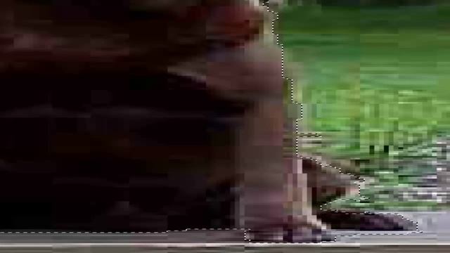 Cómo hacer un recorte perfecto // Photoshop cs 5 смотреть онлайн