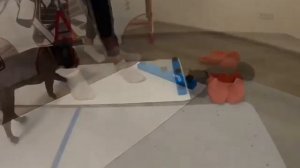 ХОККЕЙНЫЙ ТРЕНАЖЕР ДЛЯ КАТАНИЯ "SLIDE BOARD"