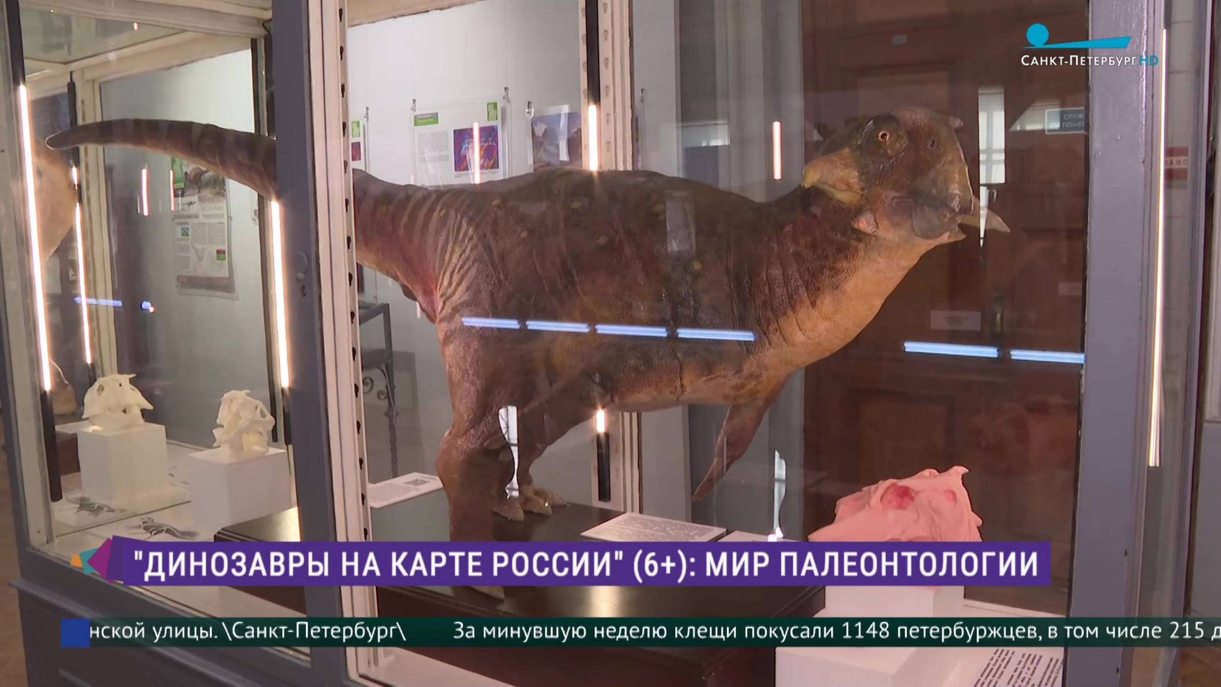 Выставка «Динозавры на карте России»