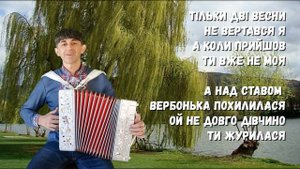 А над ставом вербонька