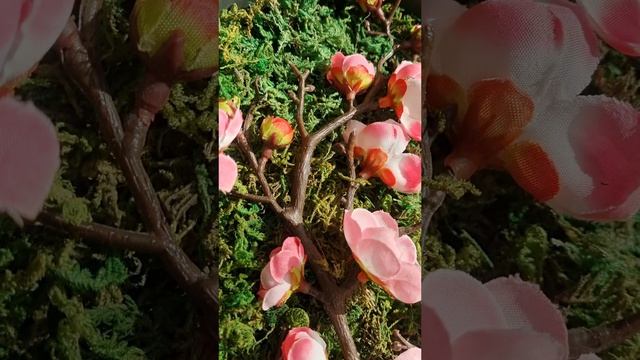 искусственная сакура. искусственный мох. панно. картина из искусственных растений..mp4