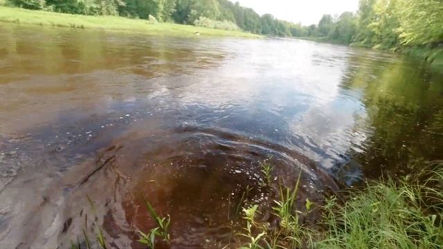 В ПОИСКАХ ЛЕТНЕГО ГОЛАВЛЯ ?? ЛОВИМ НА ХАМАКУРУ смотреть онлайн