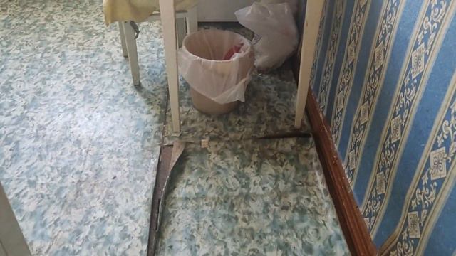 Ужасы и антисанитария после сдачи квартиры в аренду