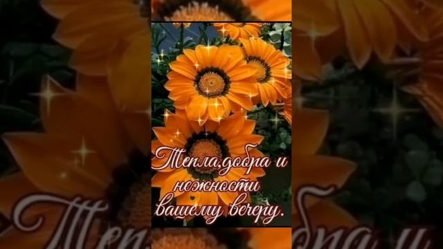 Добрый вечер ! Желаю доброго вечера! Открытка с добрым вечером! смотреть онлайн