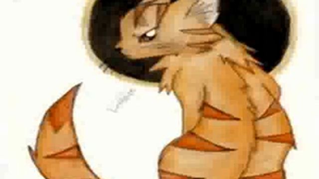 Warrior Cats Designs by HAK смотреть онлайн