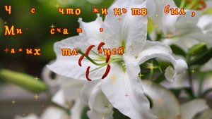 Привет! Моим друзьям! Красивые поздравления! Музыкальная открытка!