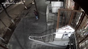 Dog and kind, собака охраняет ребёнка ,метис лабрадор