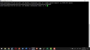 Docker Container Export - Video 13