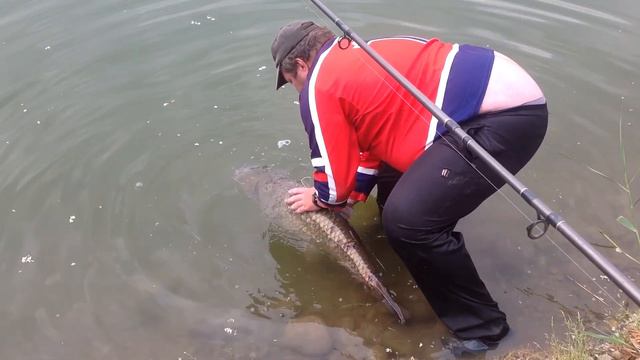 Рыболовный клуб "Акация" смотреть онлайн
