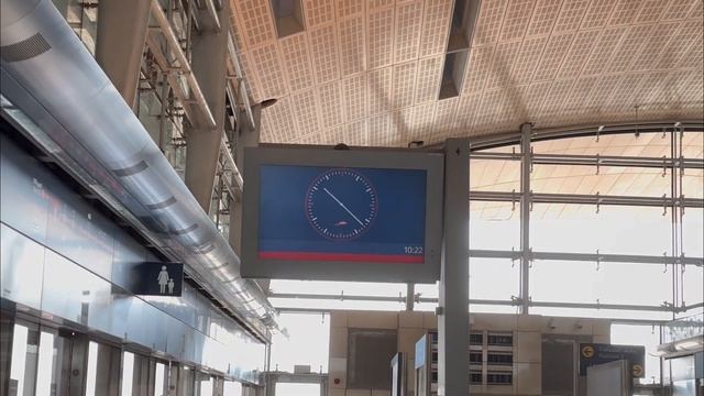 ЧТО ПРОИЗОШЛО? документы на Emirates ID| музей Будущего в Дубае, парк с павлинами смотреть онлайн