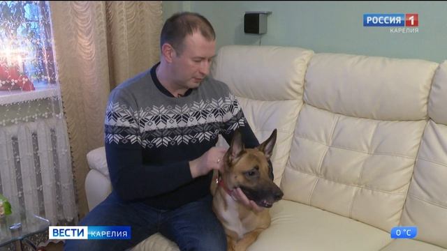 Неизвестные привязали собаку к дереву и бросили в лесу смотреть онлайн