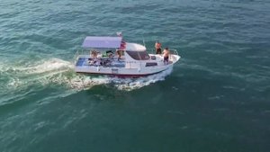 Бяла, Болгария