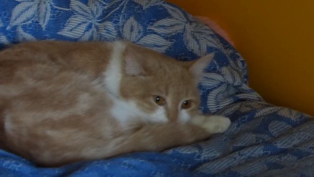 Когда пришёл на дискотеку и она тебе не в кайф! смотреть онлайн