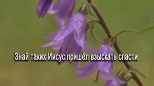 Караоке,Христианские песни Иисуса ты впусти