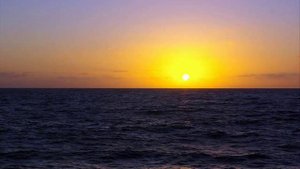 My Bluebird Was Caught In The Rain -Rudy Vallee