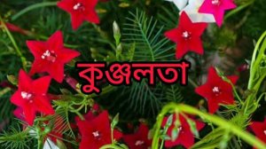 ৫০ টি দেশ বিদেশী ফুলের নাম।।flowers names ||