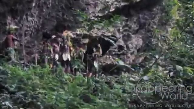 Tribes of Papua New Guinea   Племена Западного Папуа Новая Гвинея