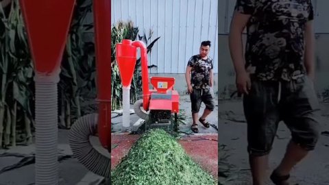 измельчитель корма