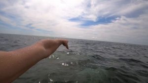 Подводная охота в Чёрном море. И неожиданная находка под водой