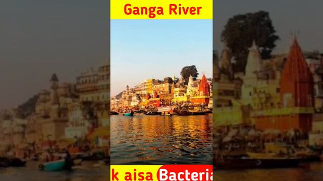 Ganga unknown fact 😱😱