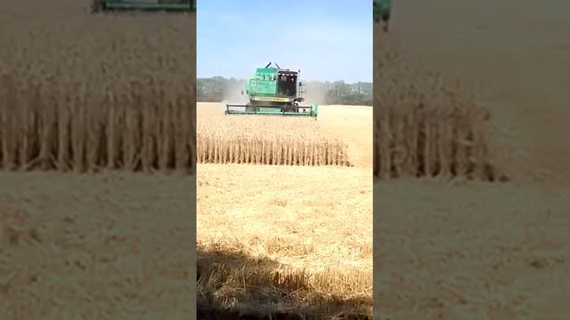 23 июля 2022 г. смотреть онлайн