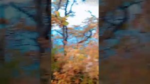 Я иду тебе навстречу. караоке