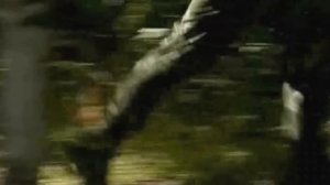 ГОЛУБЫЕ БЕРЕТЫ - ДМИТРИЙ ПОЛТОРАЦКИЙ