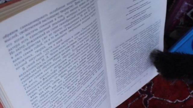 Дворняжка и гламурные собачки! Баттл - лучшие КРЕАТИВНЫЕ СТРИЖКИ СОБАК/ Груминг | В лапах у Тяпы смотреть онлайн