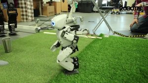 Робот учится ходить по траве