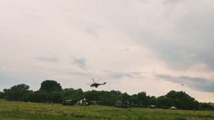 Акула показывает класс.