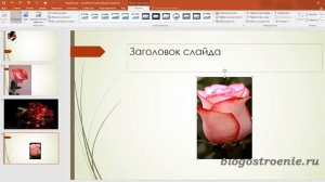 Как вставить анимированную картинку на слайд