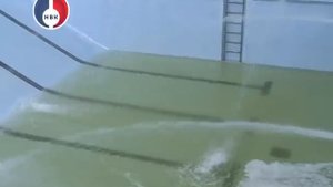 Обновленная чаша бассейна Дворца спорта "Дельфин"