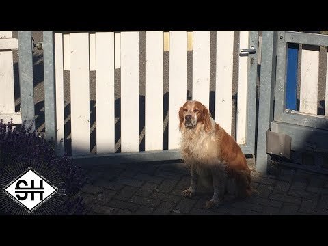 Gatekeepers [Ft. Jschlatt]