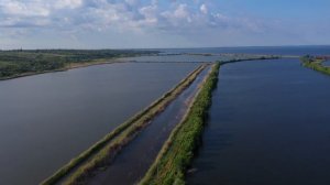 Царкут Приморское с высоты Запорожская область